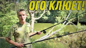 Такой РЫБАЛКИ у нас с БАТЕЙ Давно не БЫЛО, Нашли Клевое МЕСТО в КАМЫШАХ и ВСЯ Рыба НАША!!!