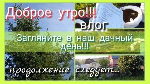 Загляните в наш дачный день//доброе утро