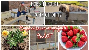 Новый проект. Что мы строим? Распускаются розы и спеют ягоды 🌹🍓 Строительно - огородный влог  🏠