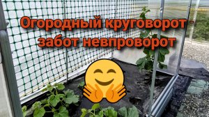 Огородный круговорот - забот невпроворот