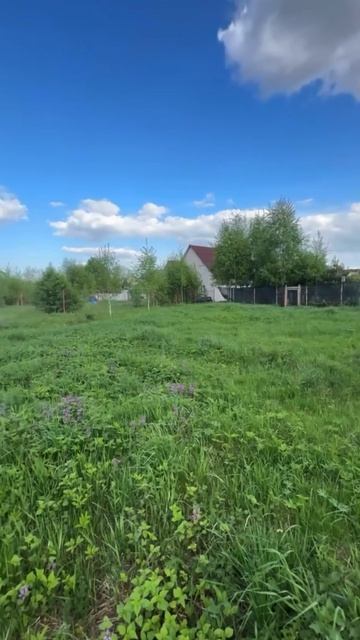 Деревня Корпуса