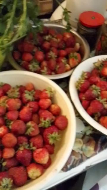 🍓🍓🍓Ягусин урожай😄👋