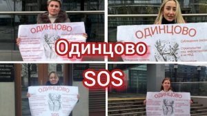 Обращение к президенту. Незаконное, точечное строительство. Одинцово, Жукова 15/2. Застройщик Вега.