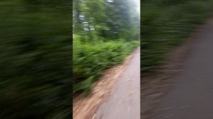 Детский парк Радуга и Дворец пионеров Дзержинск