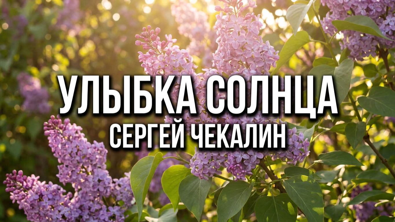 Улыбка солнца. Сергей Чекалин. Smile of the Sun. Sergey Chekalin. смотреть онлайн