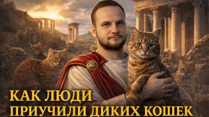Как люди приручили  диких кошек ?