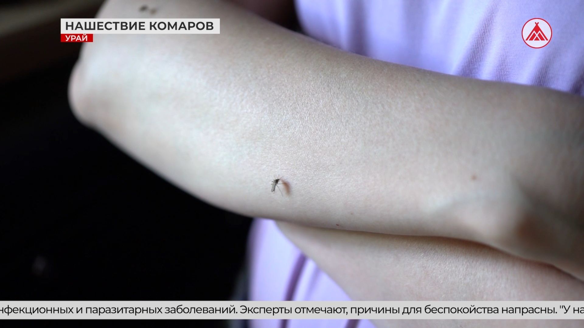 Как урайцы справляются с нашествием комаров