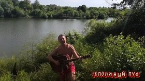 Тополиный пух