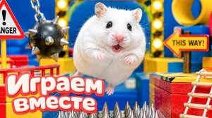 ХОМЯК ВЫБИРАЕТСЯ ИЗ СЕКРЕТНОЙ ХОМЯЧЕЙ ТЮРЬМЫ ! Забавные животные ! Супер лабиринт для хомяка №14