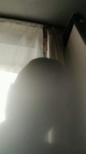 е