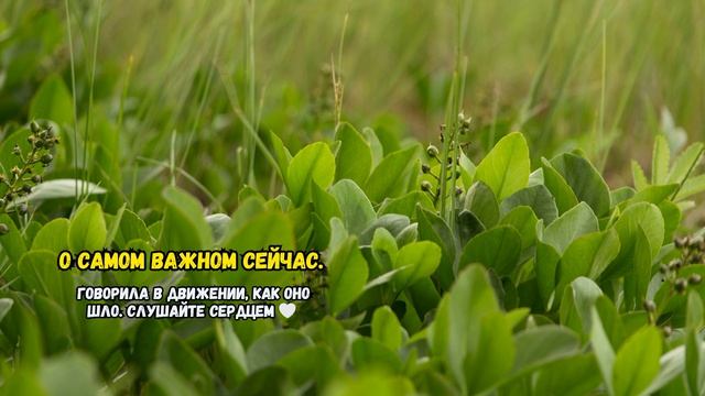 О самом важном сейчас.