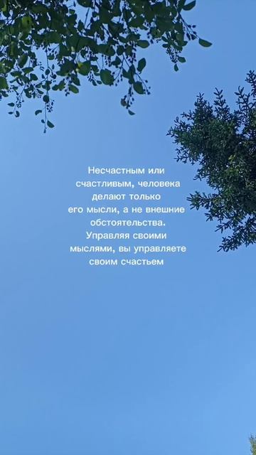 Мысли вслух