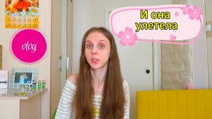 Vlog: Пять моих штативов от 15.06.2026