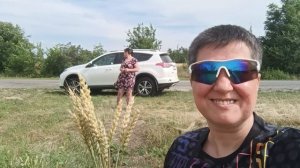 Пшеничные поля почти созрели, красивые виды