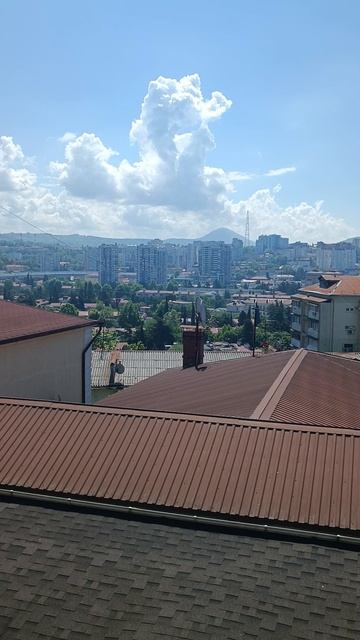 наклонилась елочка на дом, спилили, погрузили, вывезли.