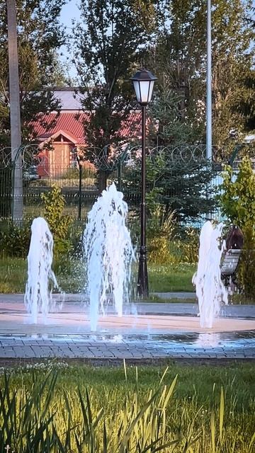 Мнение жителей о парке 