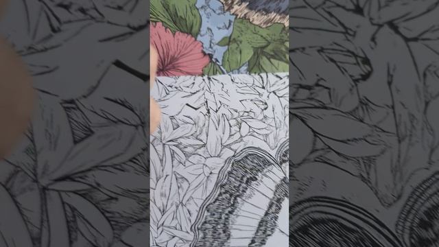 Книга-раскраска для детей🥰💋💕