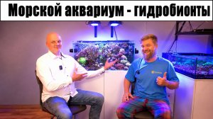 Морской аквариум - гидробионты