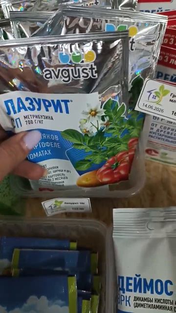 новые поступления 15.06.26