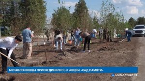 «НОВОСТИ МУРАВЛЕНКО. ГЛАВНОЕ ЗА ДЕНЬ», 15 июня 2026 г.
