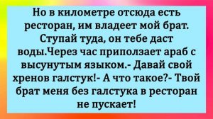 #анекдоты #юмор #Вирус #Тренды #Развлечения #Смешно #смешныеанекдоты