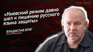 «Киевский режим давно шел к лишению русского языка защиты» - Владислав Бриг