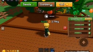 grow a garden. 2.