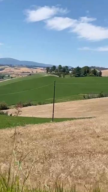 1000201093.mp4