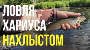 | 5 минут кайфа с нахлыстом | Ловля хариуса на сухую муху |