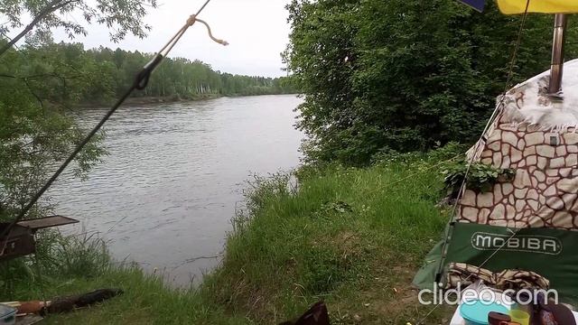День России на берегу. смотреть онлайн