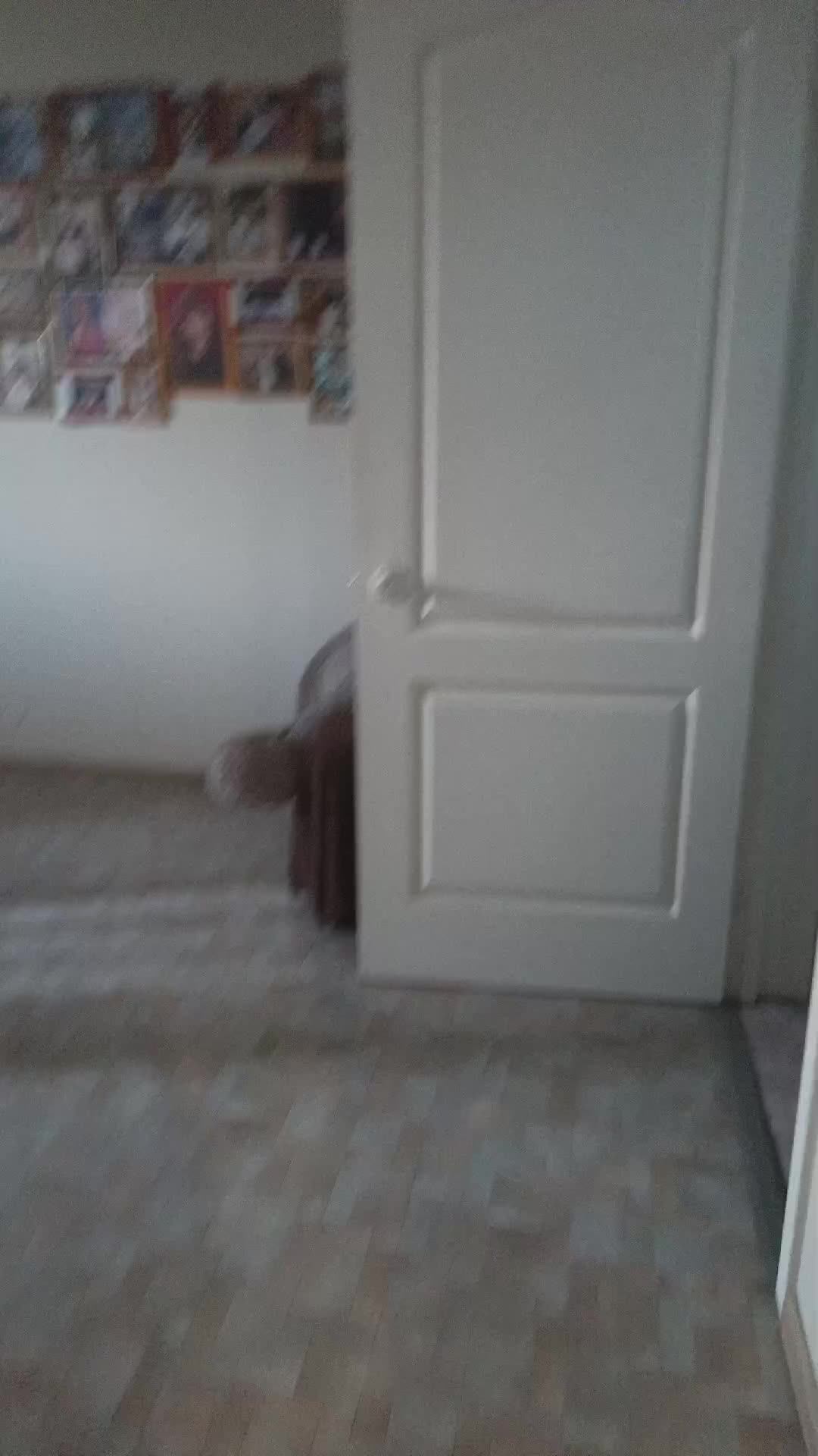 делаем что хотим (2 часть)