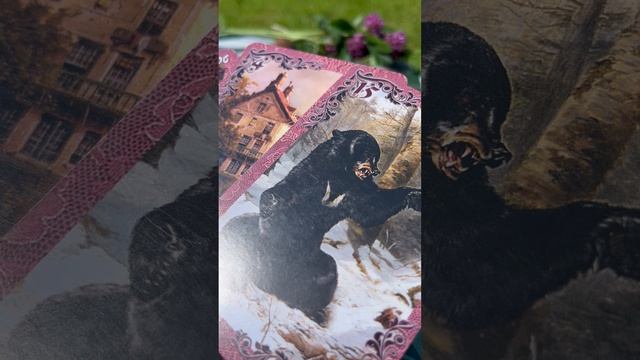 Под покровительством Луны.📨🌹