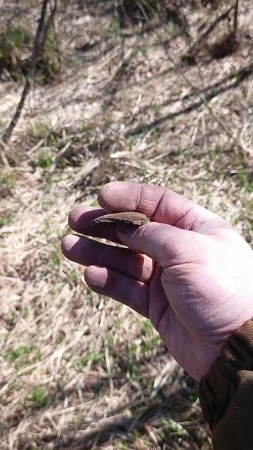 Осколок прошлого #shorts #metaldetecting #неведомоенечто #металлоискатель #леснойпоиск