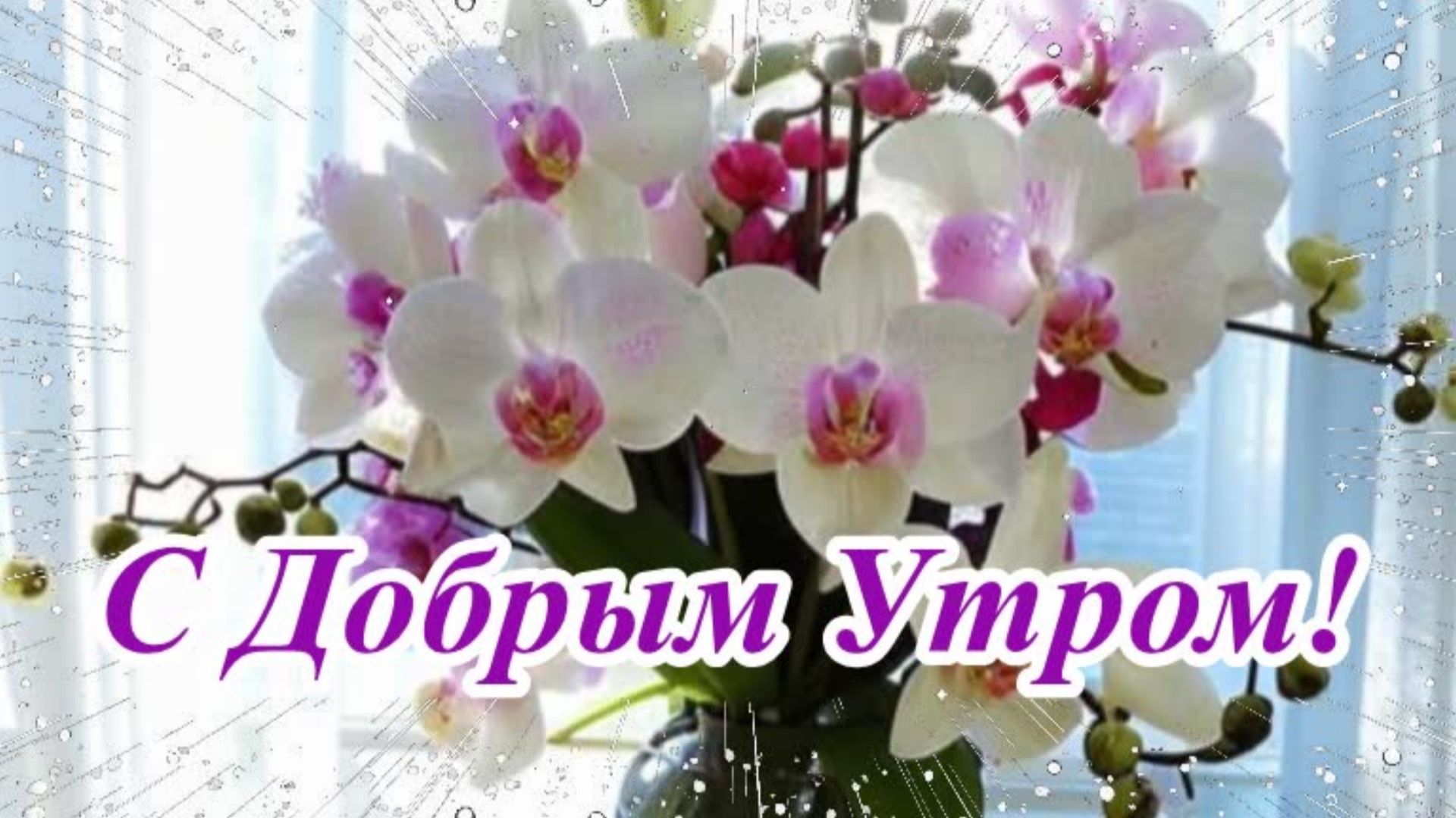 Доброе утро! Музыкальная открытка с добрыми пожеланиями.
