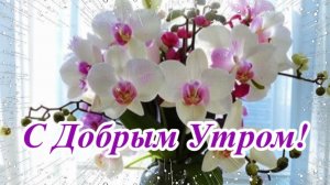Доброе утро! Музыкальная открытка с добрыми пожеланиями.