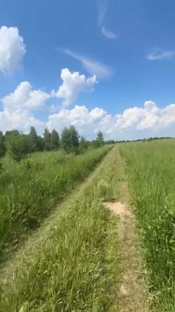 1000233889.mp4