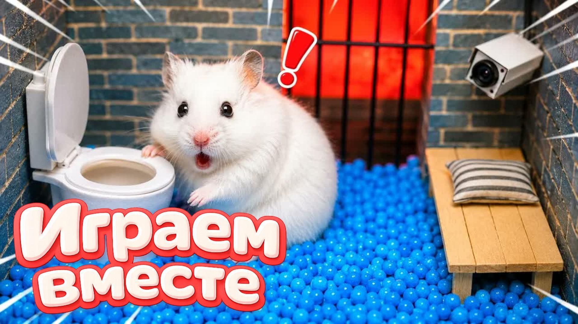 ХОМЯК ВЫБИРАЕТСЯ ИЗ СЕКРЕТНОЙ ХОМЯЧЕЙ ТЮРЬМЫ ! Забавные животные ! Супер лабиринт для хомяка №22 смотреть онлайн
