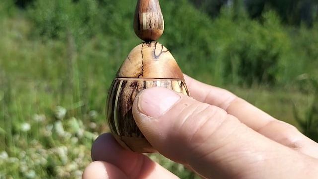 Шкатулка в июньском лесу на сосне с цветами зверобоя смотреть онлайн