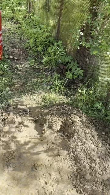 строительство цена