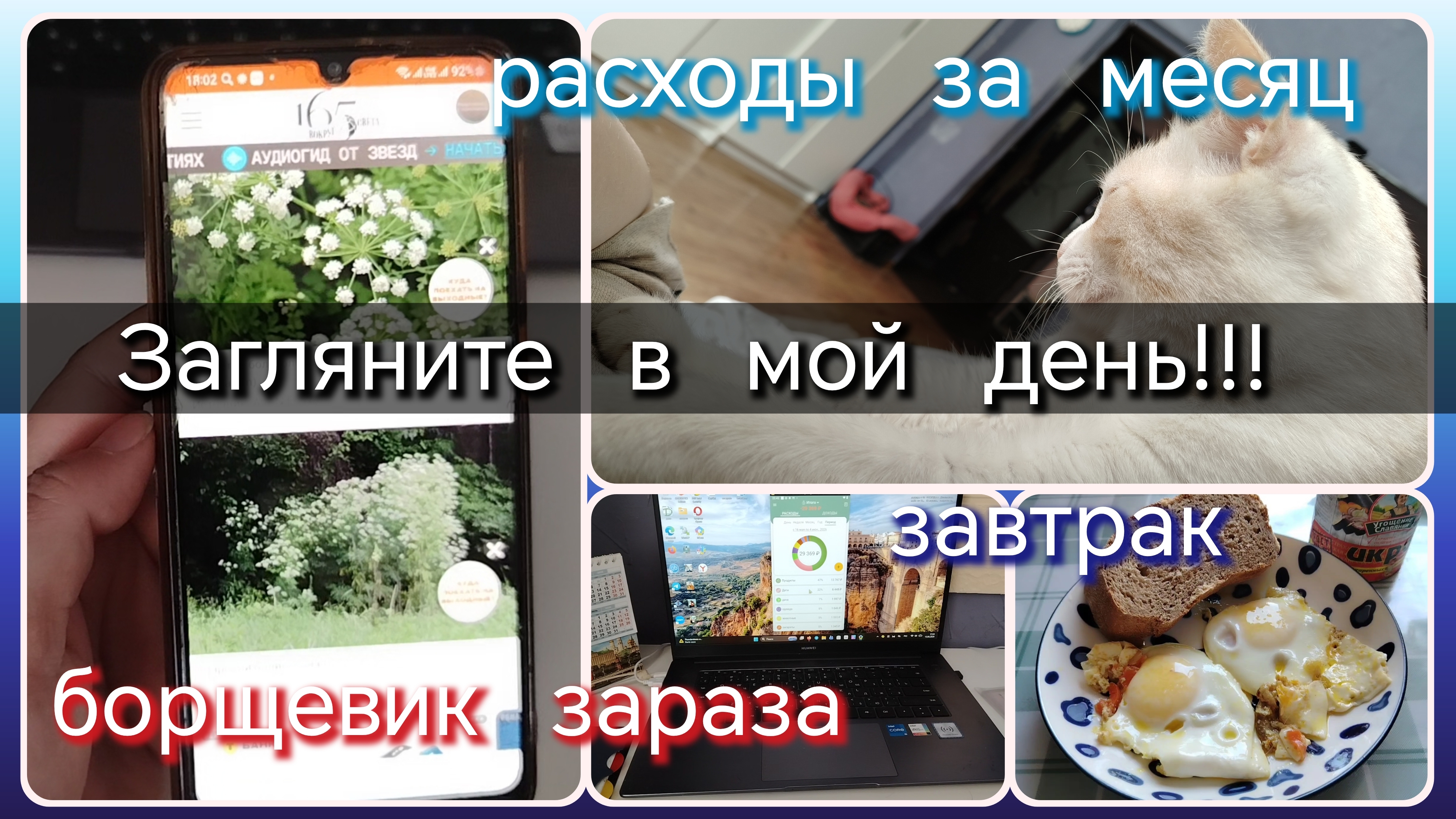 Загляните в мой день//завтрак//расходы//зараза борщевик