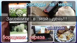 Загляните в мой день//завтрак//расходы//зараза борщевик