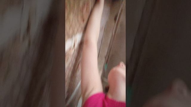1000003670.mp4 смотреть онлайн