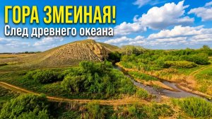 Миллионы лет под ногами: след древнего океана в Оренбургской области