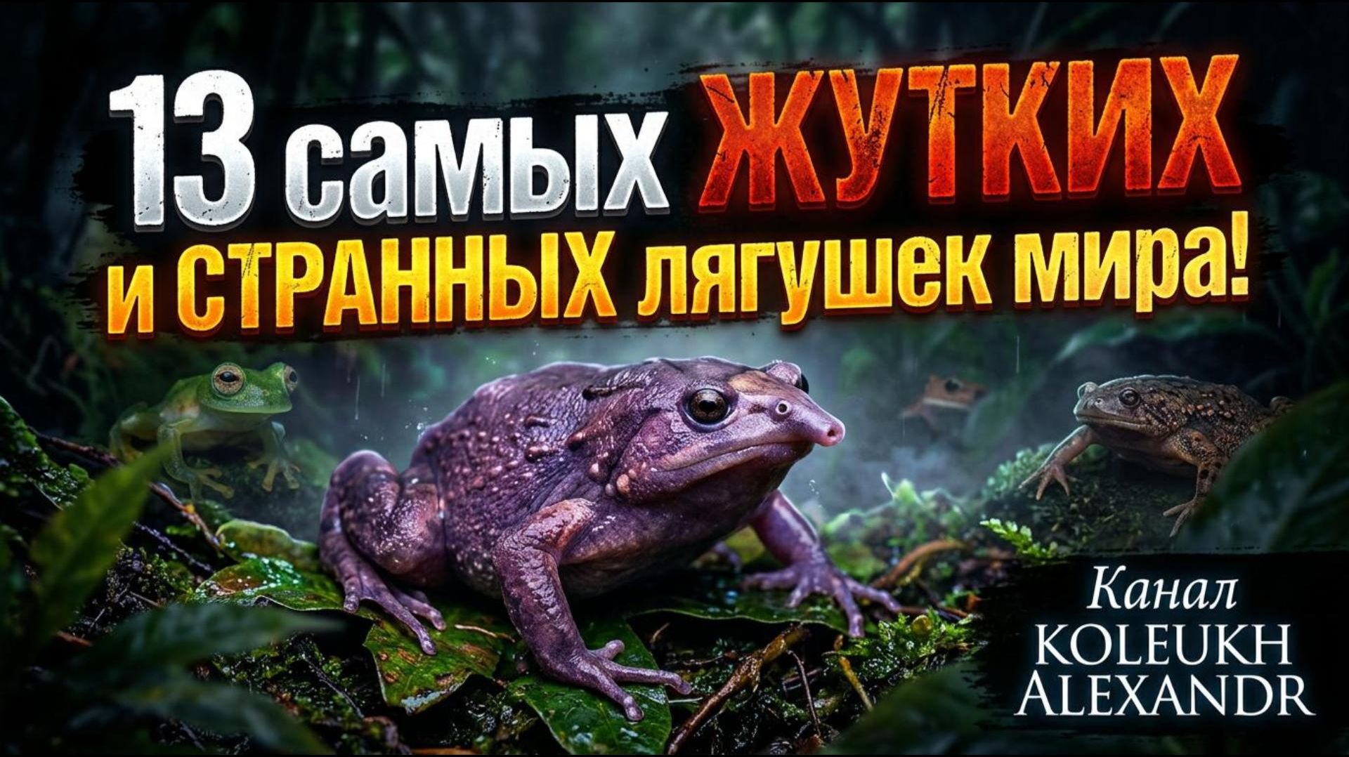 13 самых жутких и странных лягушек мира!