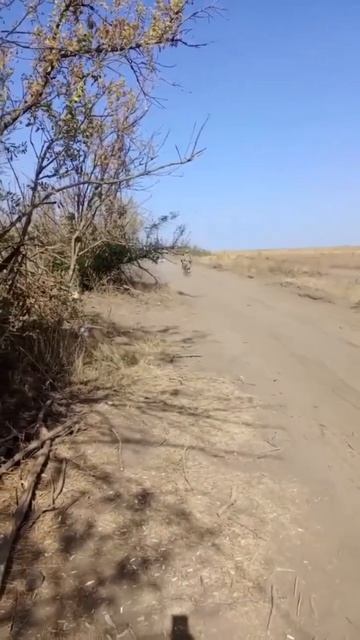 Утро доброе Страна