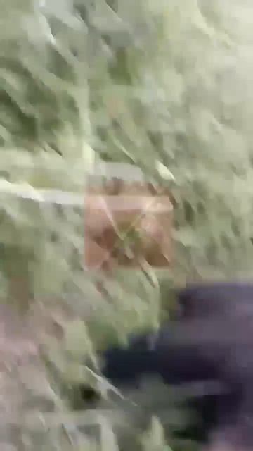 Действительно перепил, это когда на утро после рыбалки находишь в телефоне вот такое видео — прямо к