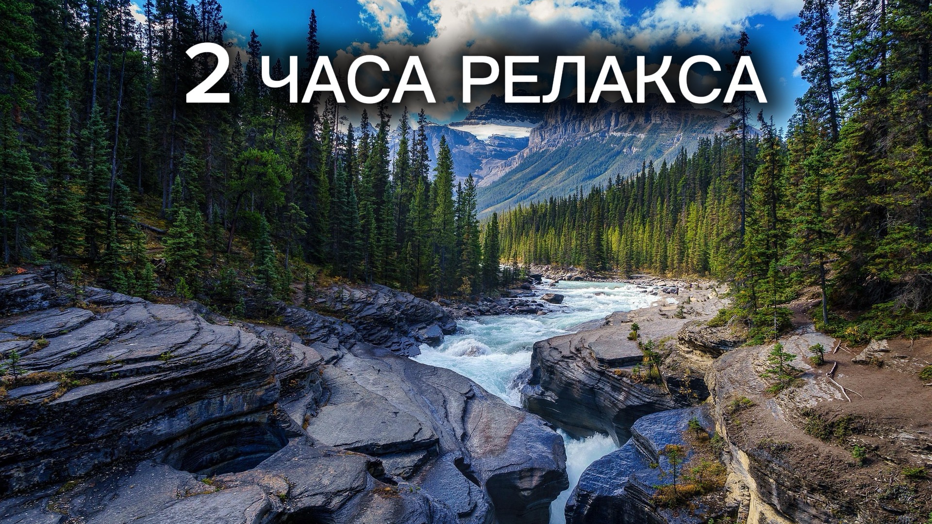 Спокойное течение лесной реки 🌿 Звуки природы для медитации, снятия стресса и концентрации (2 часа)