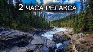 Спокойное течение лесной реки 🌿 Звуки природы для медитации, снятия стресса и концентрации (2 часа)