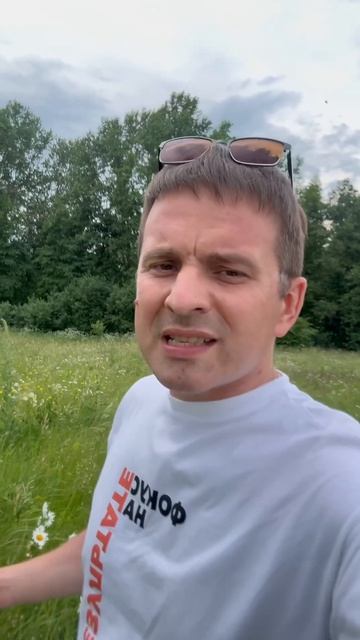 Новое назначение на должность министра экологии и природных ресурсов Ульяновской области директора т