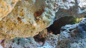 Бухта Русалочка на Азовском море